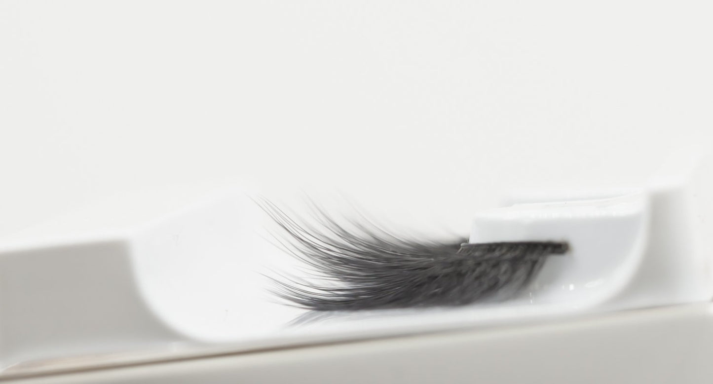 Eye Lashes Model