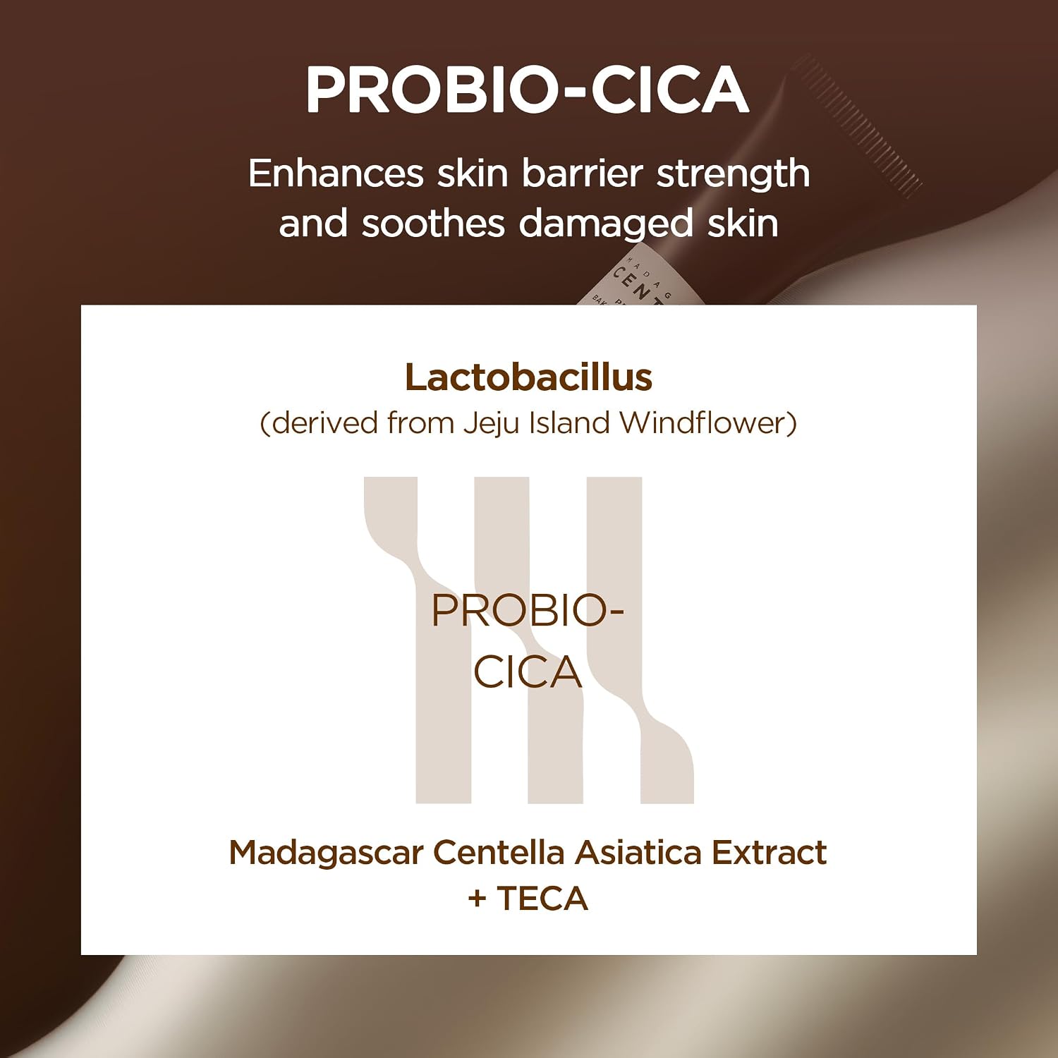 https://m.media-amazon.com/images/I/71ViZ9C4lVL._SL1500_.jpg