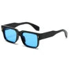High Quality 2025 New Square Sunglasses Ins Style Small Frame Personalized Trend PC Sunglasses