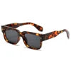 High Quality 2025 New Square Sunglasses Ins Style Small Frame Personalized Trend PC Sunglasses