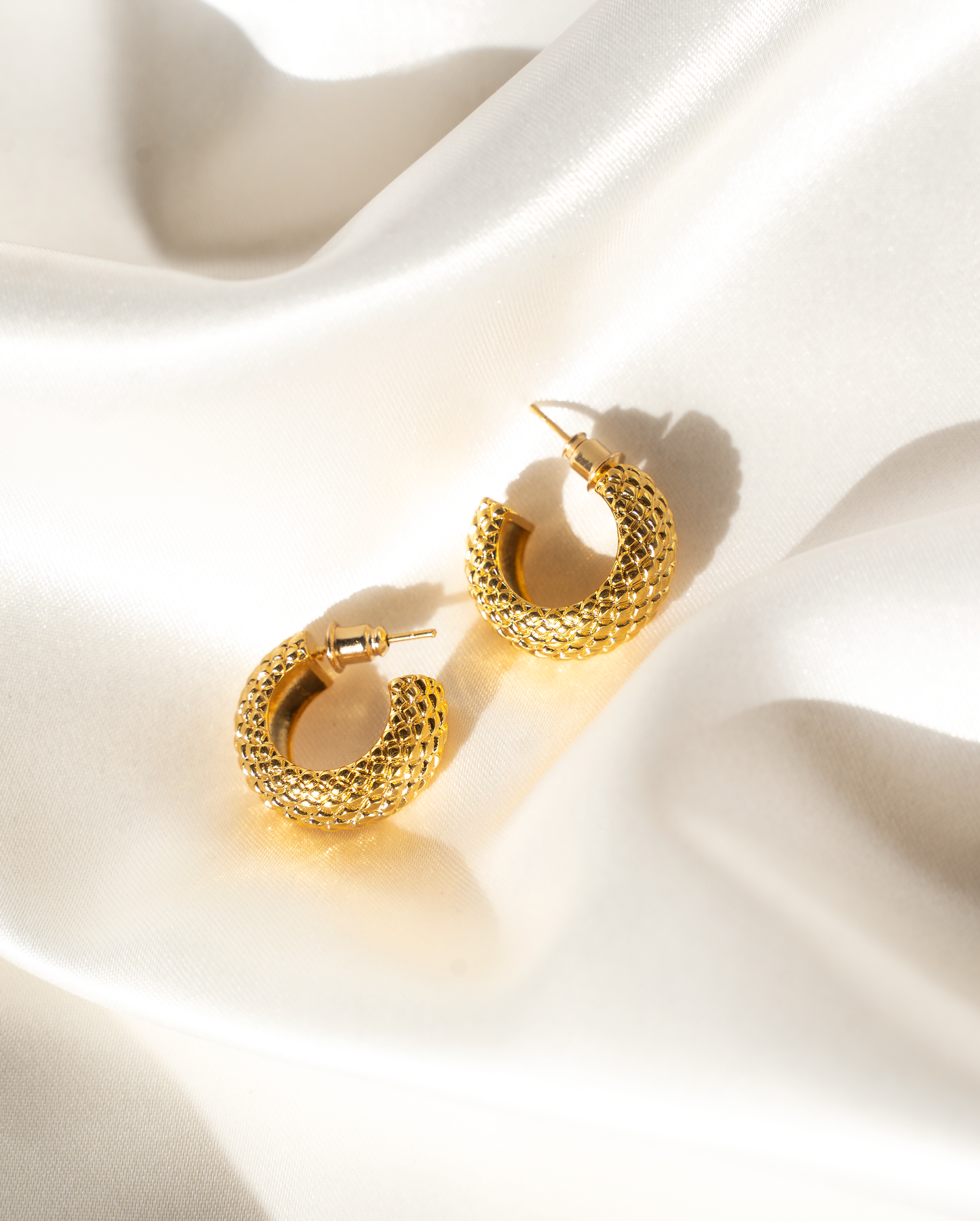 Hoop Earrings