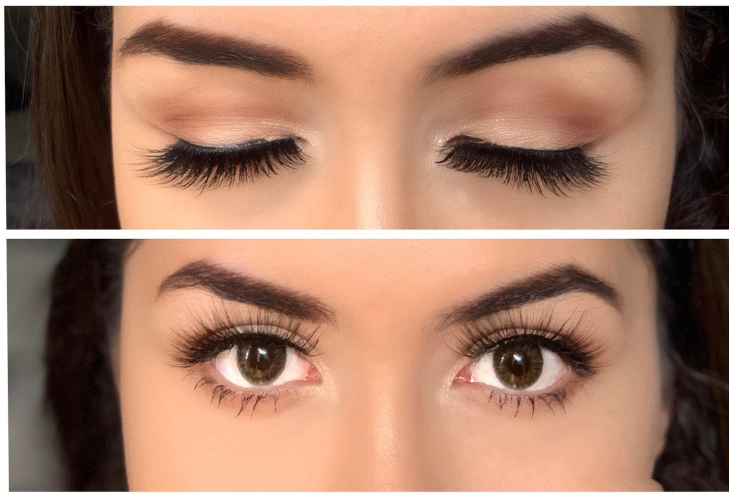 Eye Lashes Model